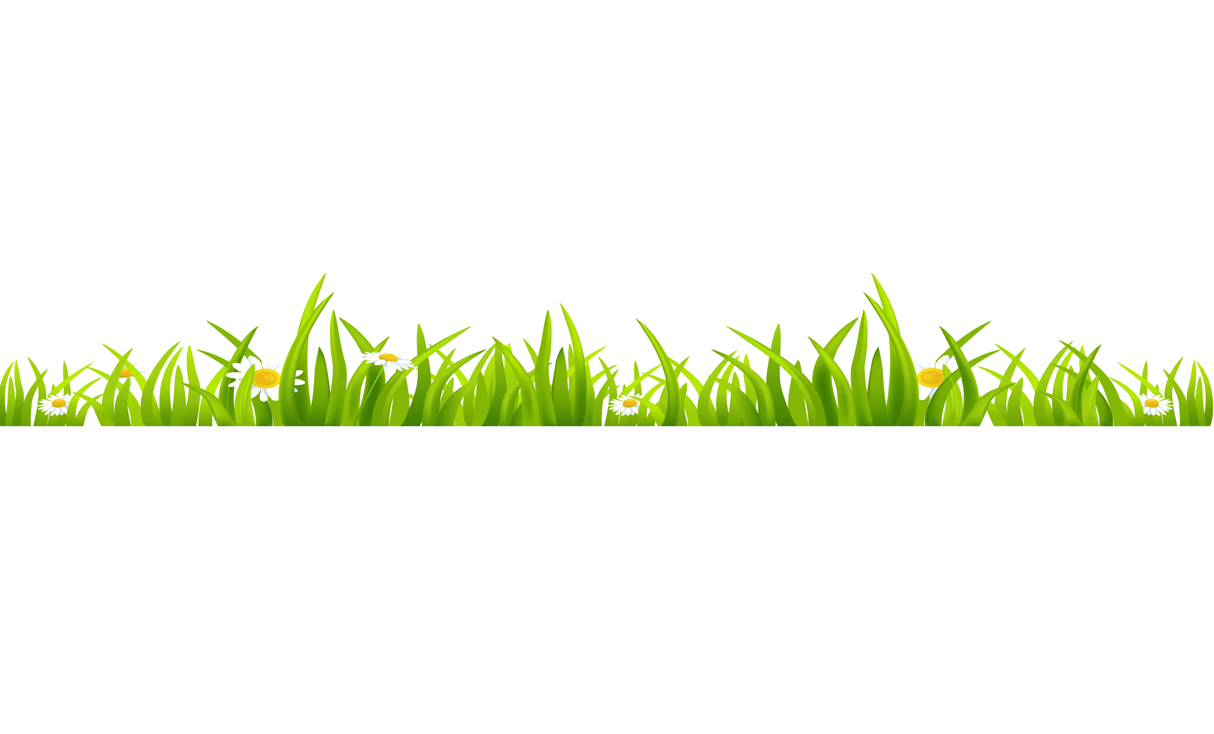 Fresh Green Grass Illustration