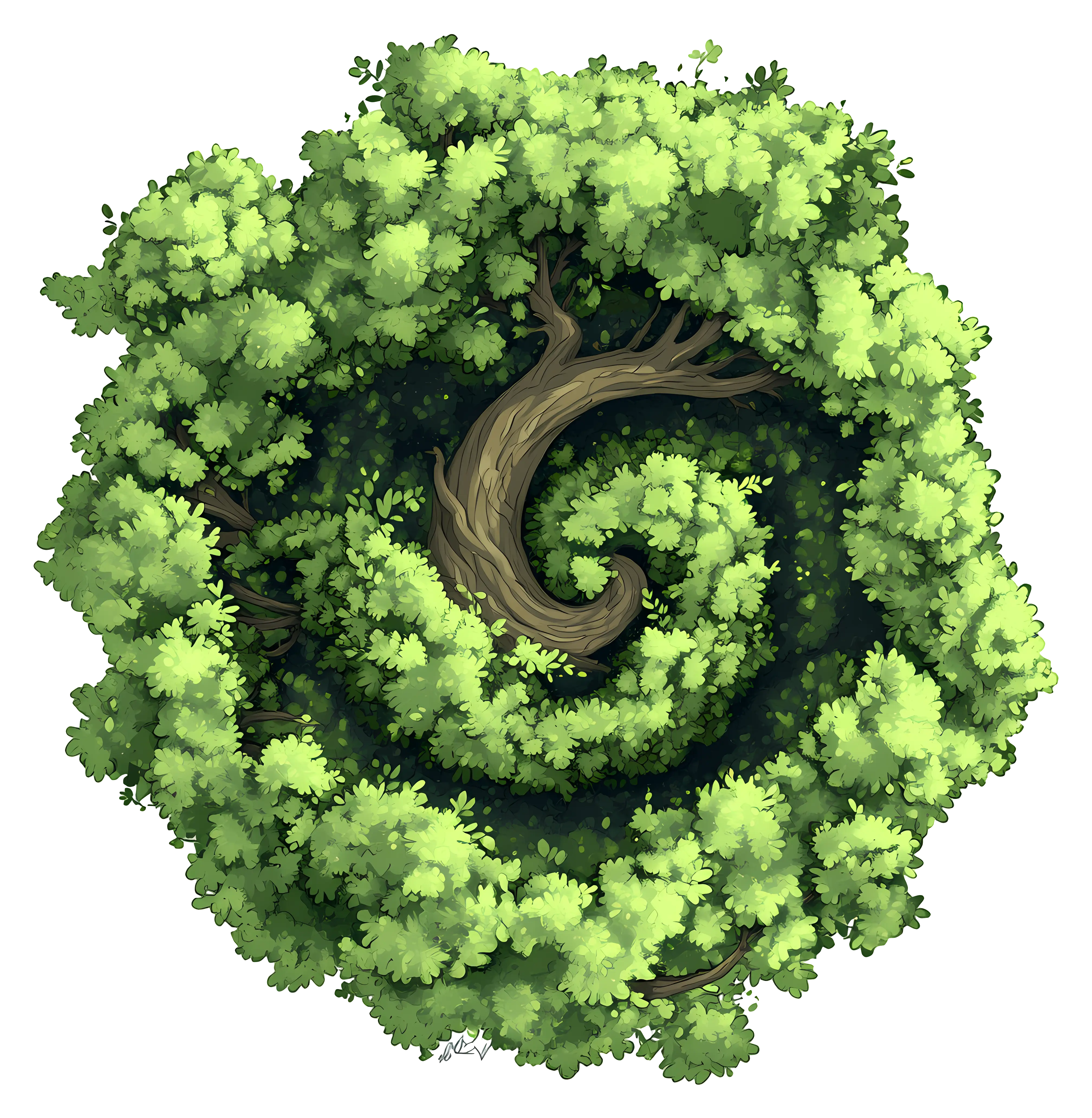 Tree Canopy Spiral View