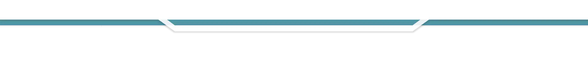 Minimalist Line Divider Design