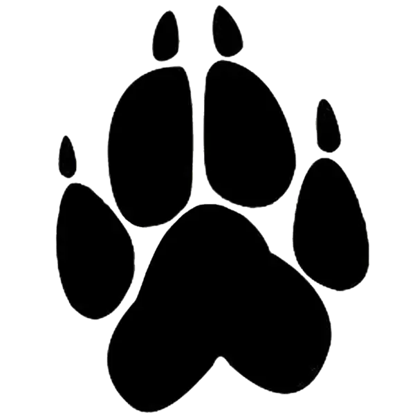 Black Animal Paw Print Icon