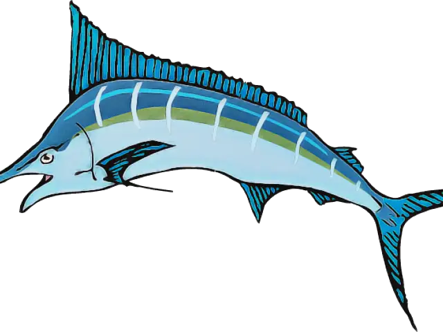Blue Marlin Fish Graphic Illustration
