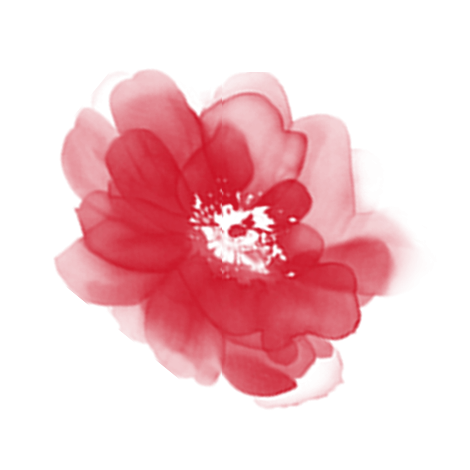 Red Watercolor Flower