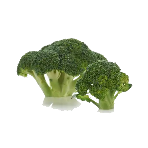 Fresh Green Broccoli Florets