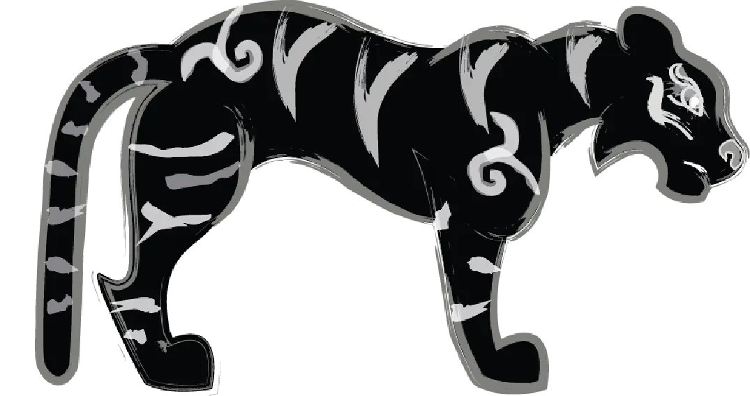 Black Tiger Wild Animal