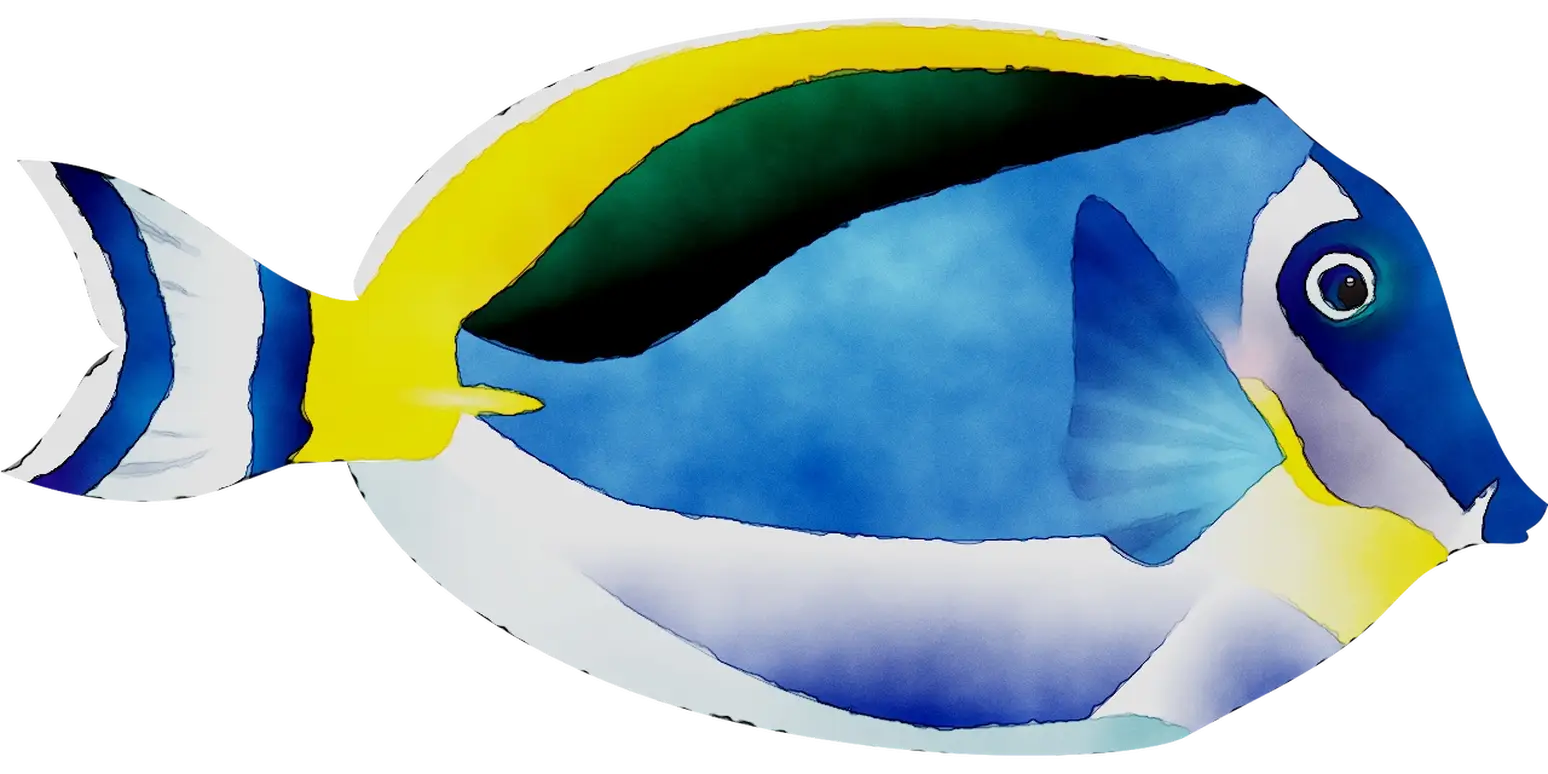 Blue Tang Fish in Vibrant Colors