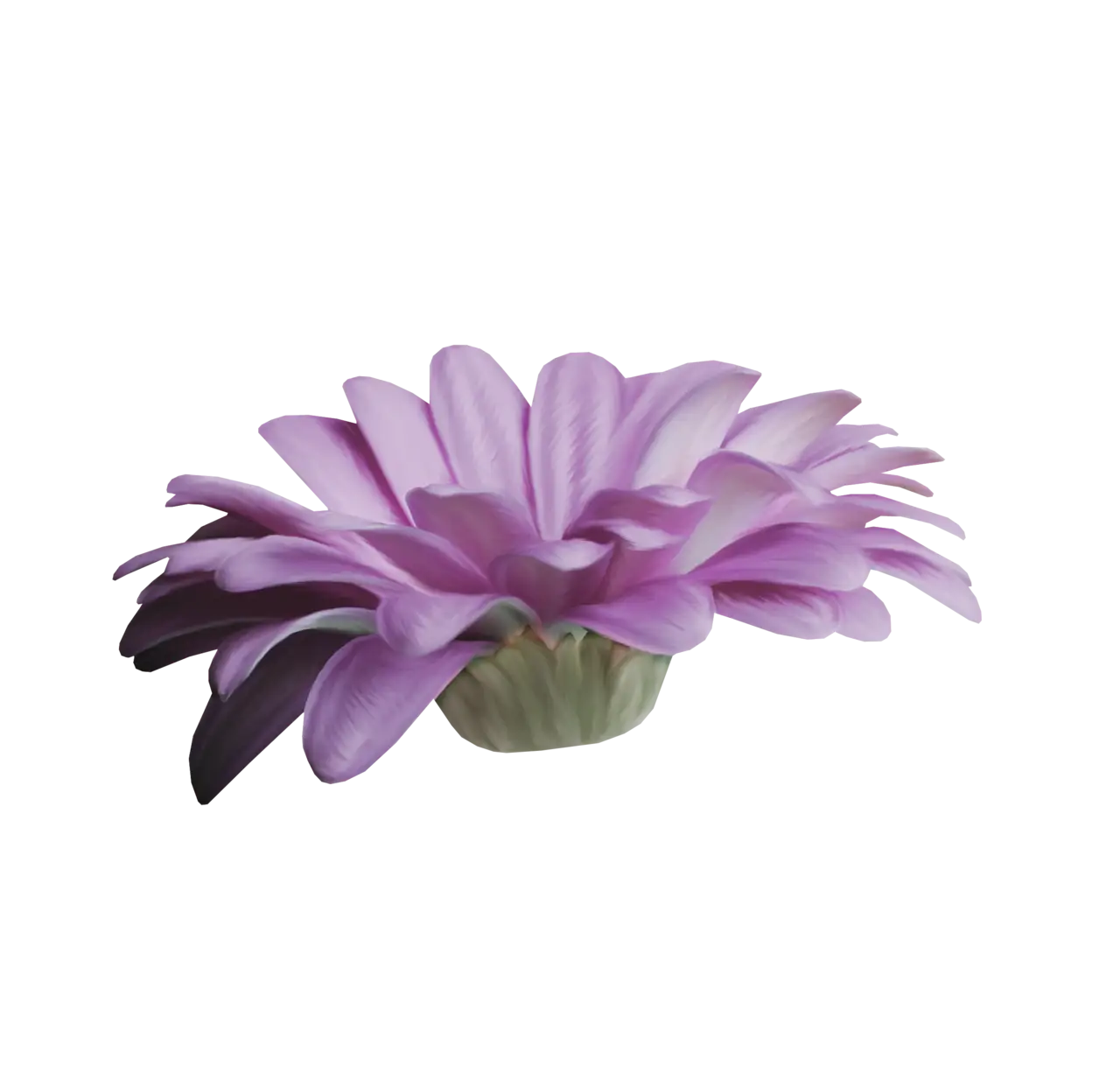 Delicate Purple Flower