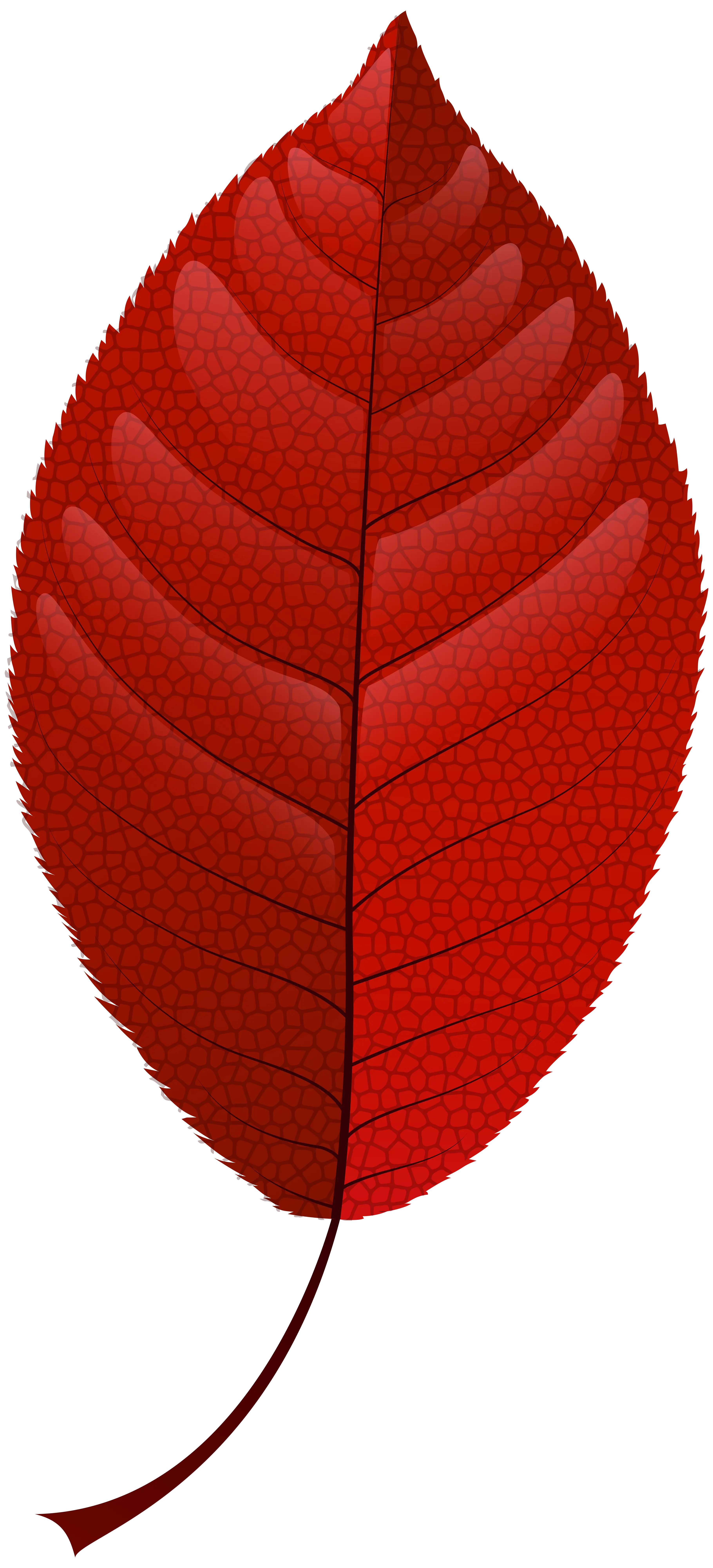 Red Textured Leaf Illustration