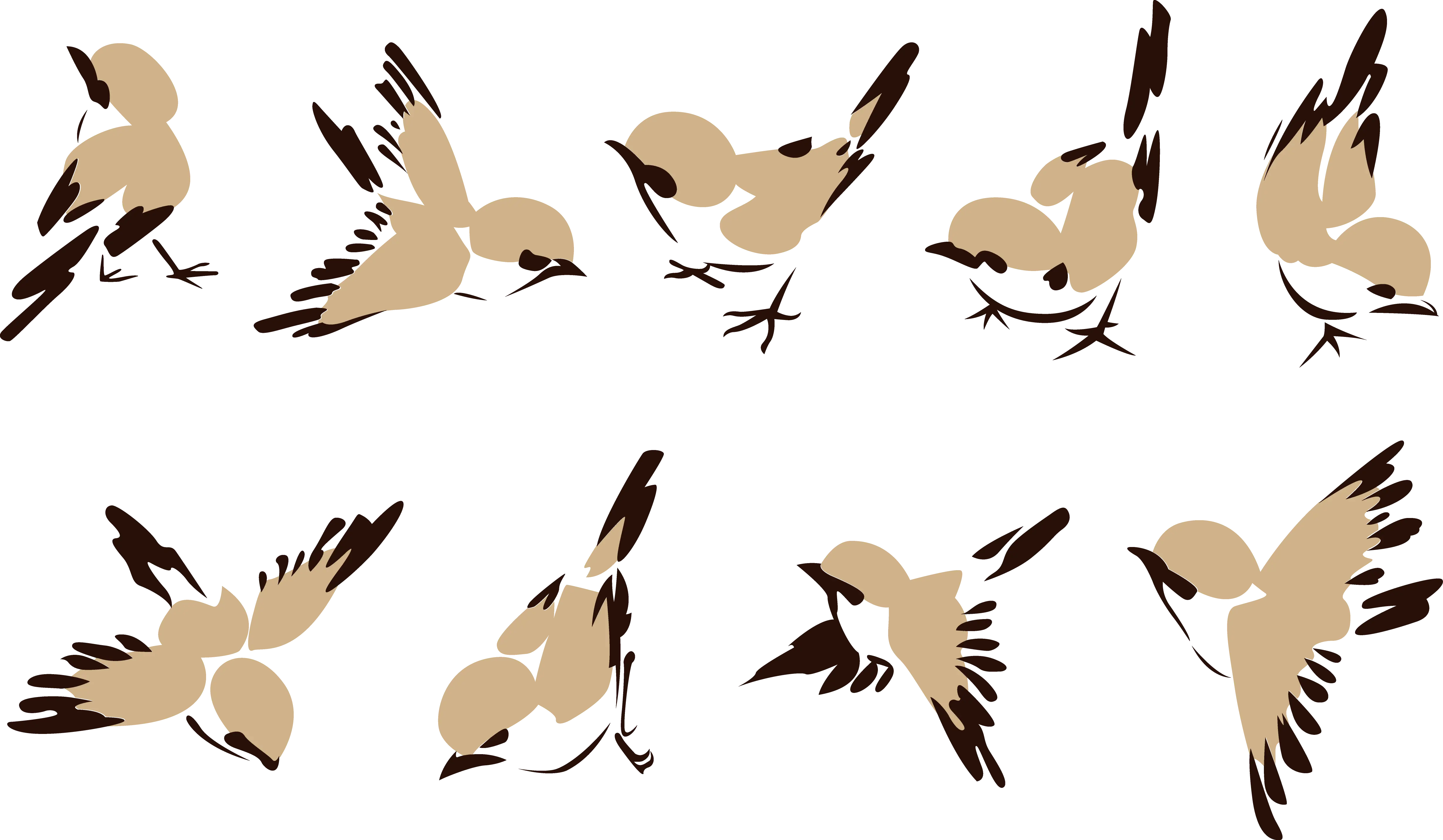 Birds in Flight with Spread Wings