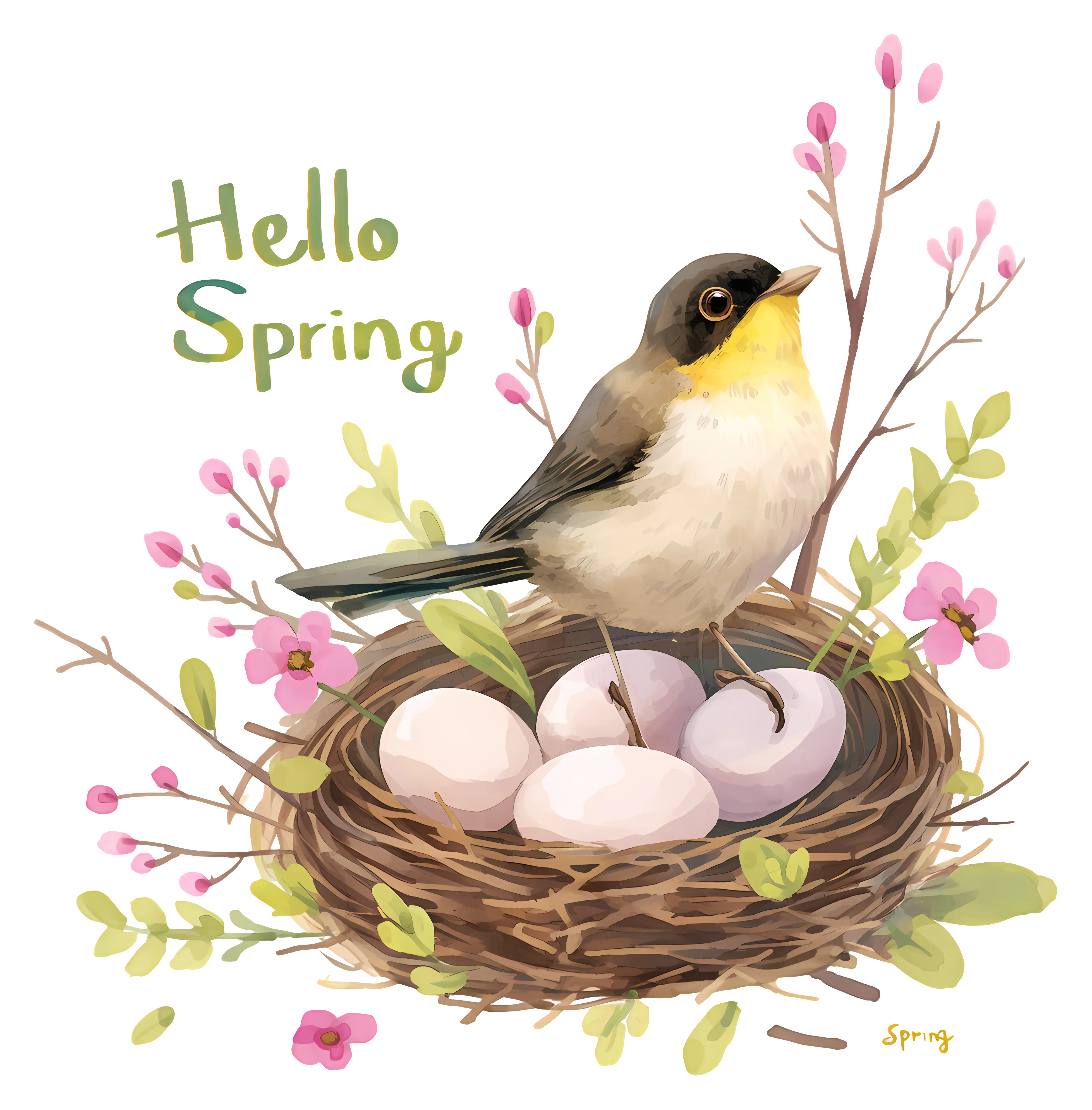 Bird Nesting in Spring