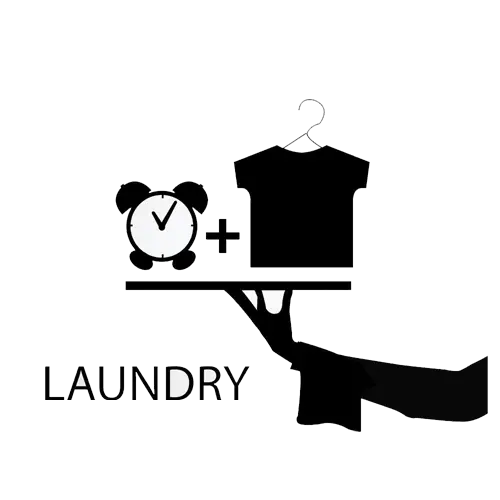 Laundry Time Icon