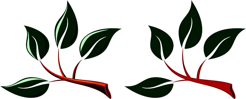 Green Leaves Illustration with Red Stems