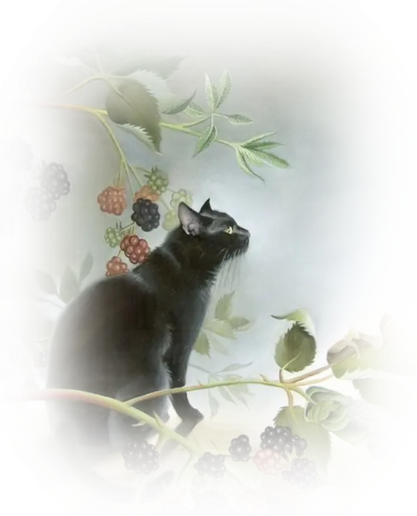 Black Cat with Leaves and Berries
