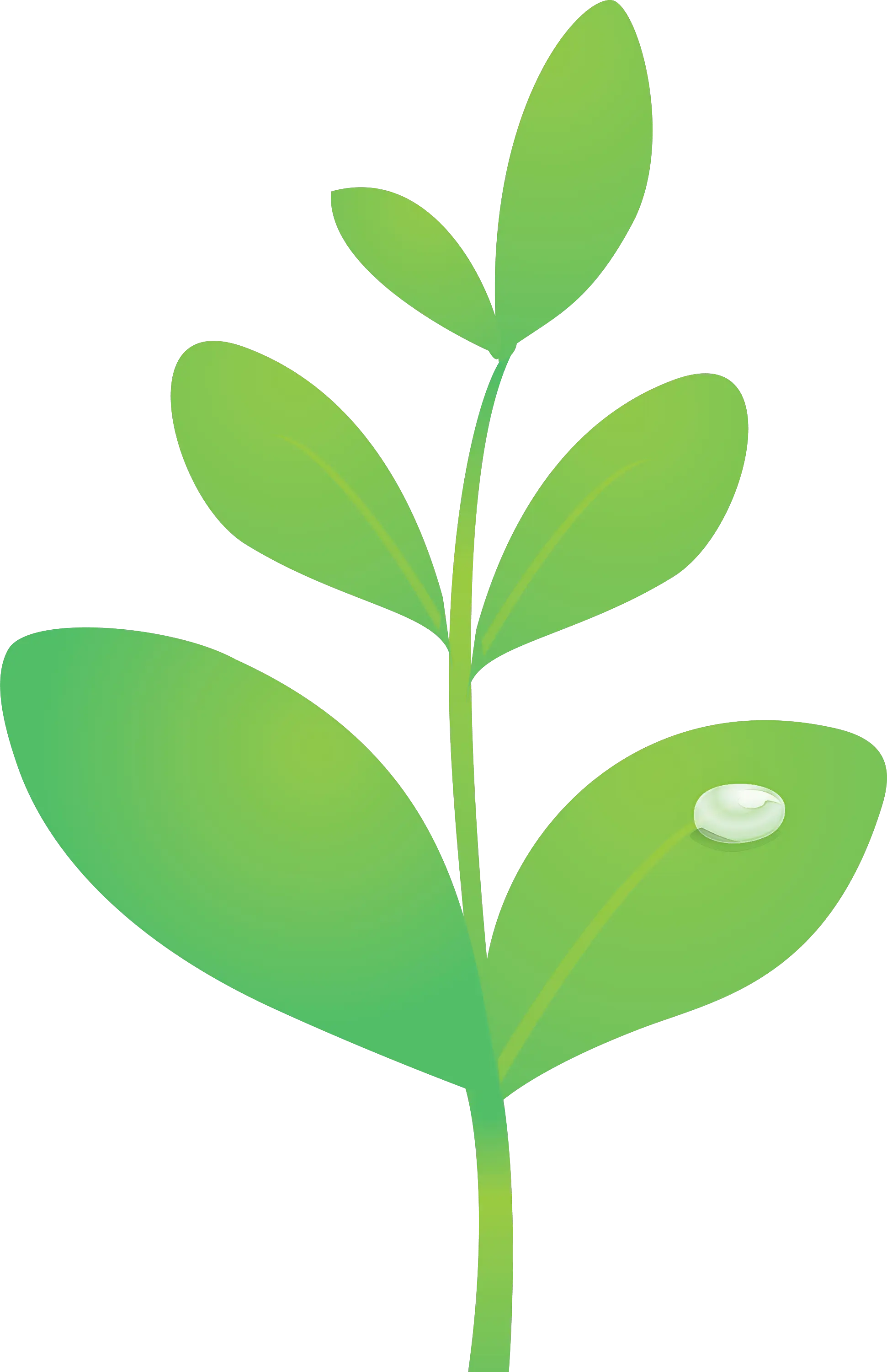 Green Plant with Decorative Capsule in Illustration