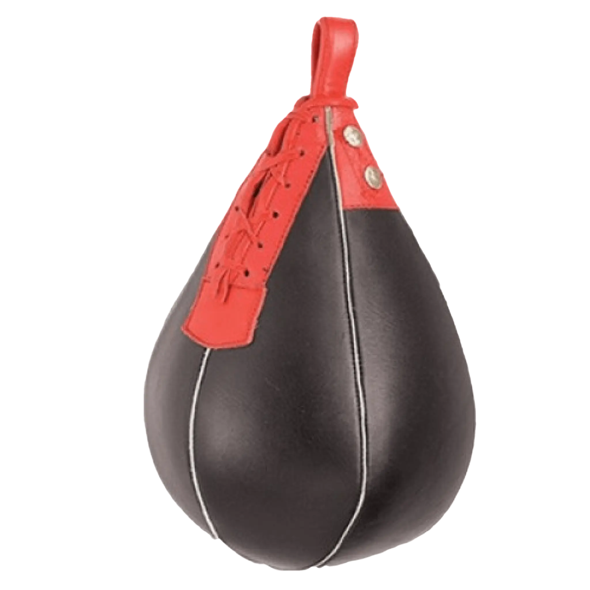 Black and Red Punching Bag