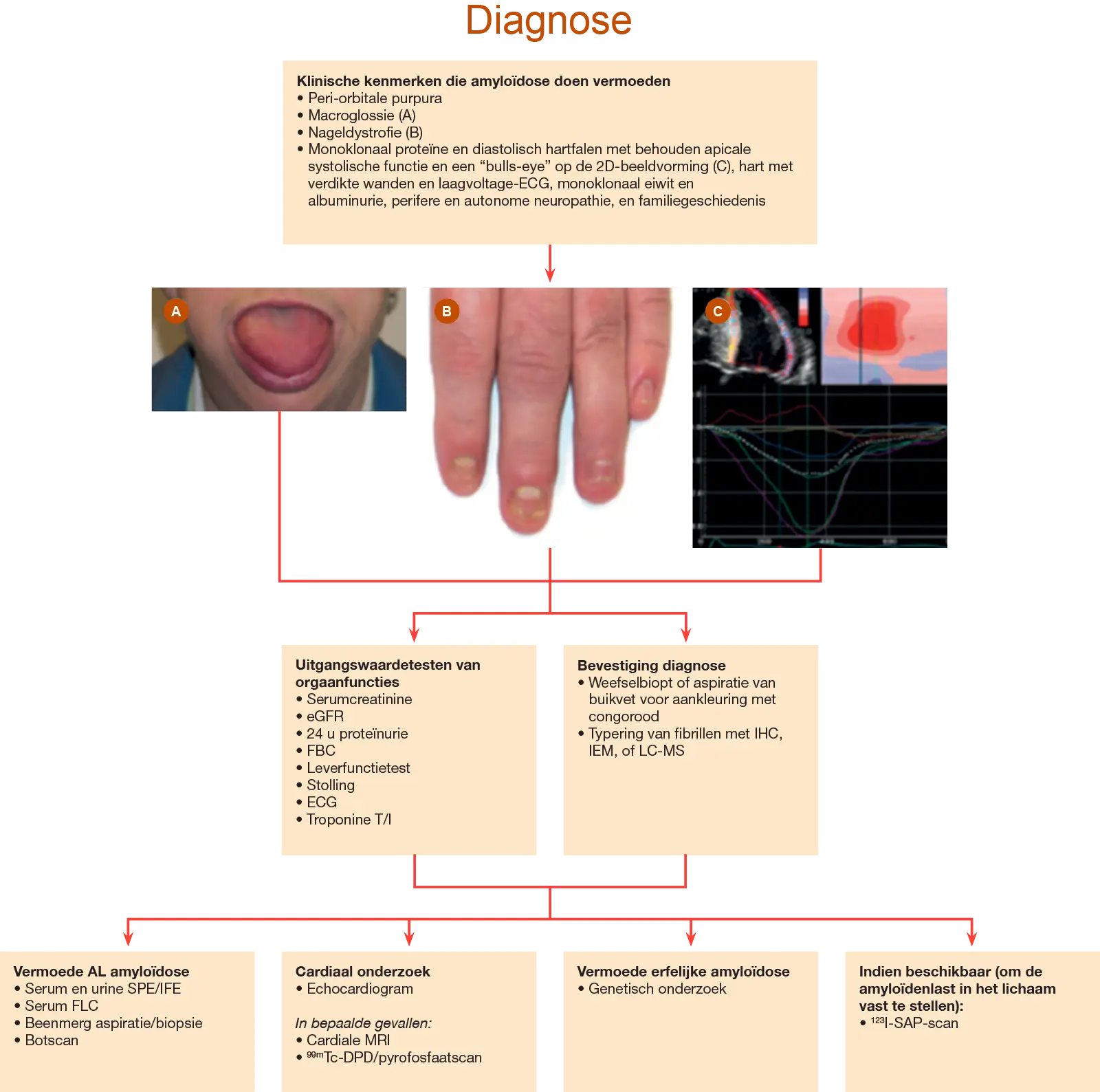 Medical Diagnosis Flowchart