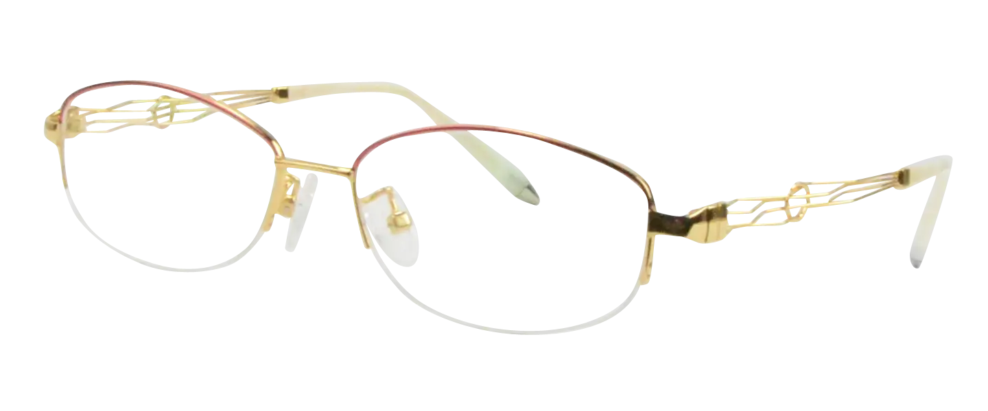 Elegant Gold-Rimmed Glasses