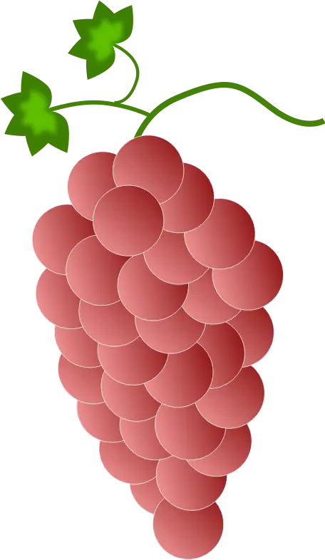 Pink Cartoon Grape Illustration with Vine
