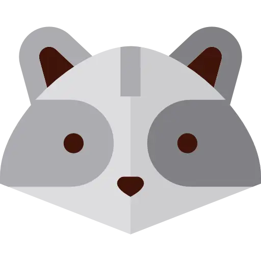Cute Raccoon Face Illustration