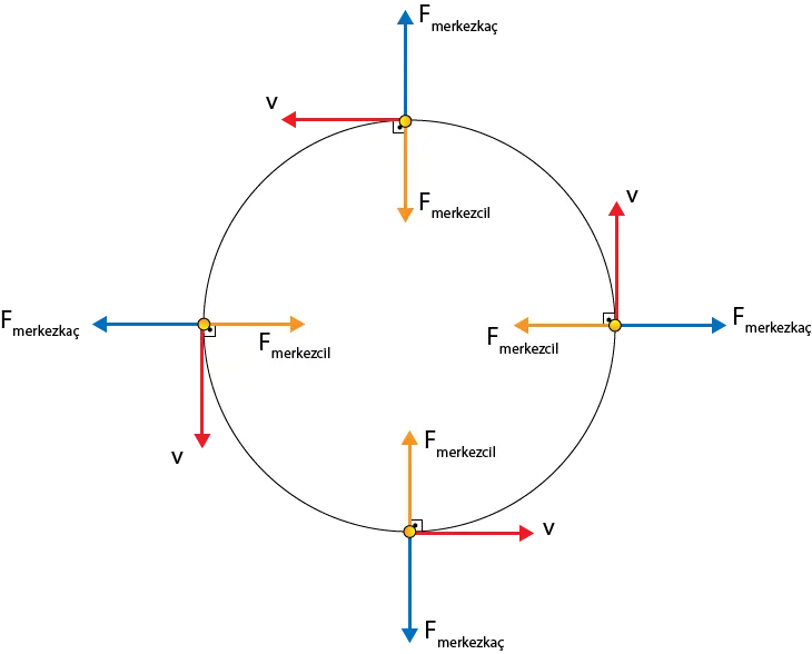 Circular Motion Diagram with Forces