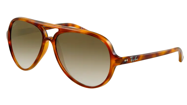 Tortoiseshell Sunglasses for Summer Style