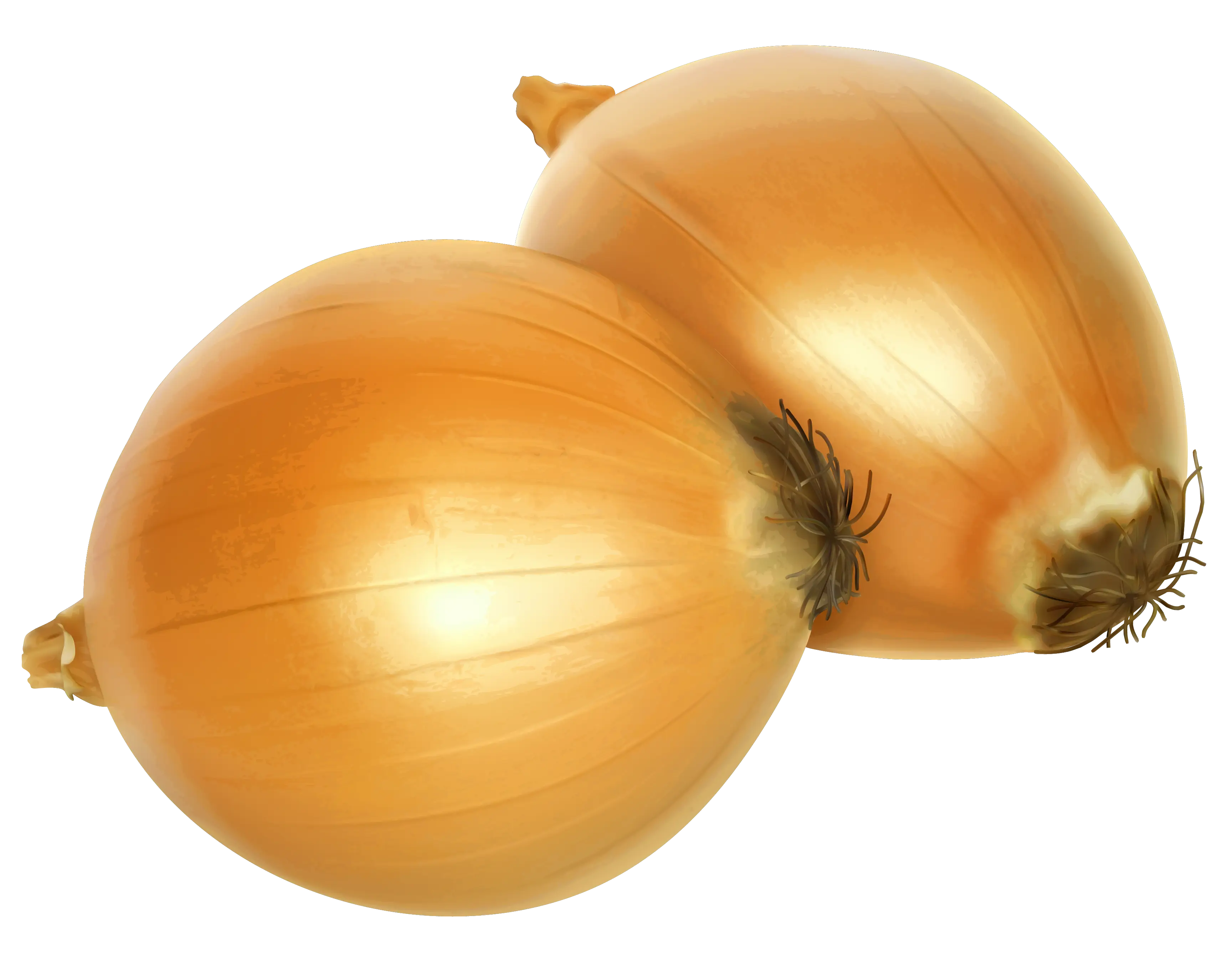 Two Golden Onions
