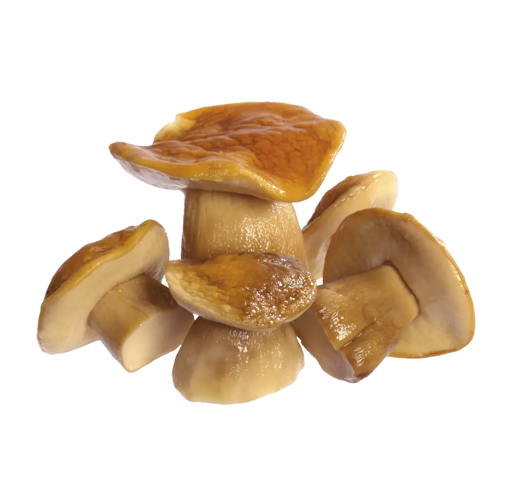 Fresh Mushrooms