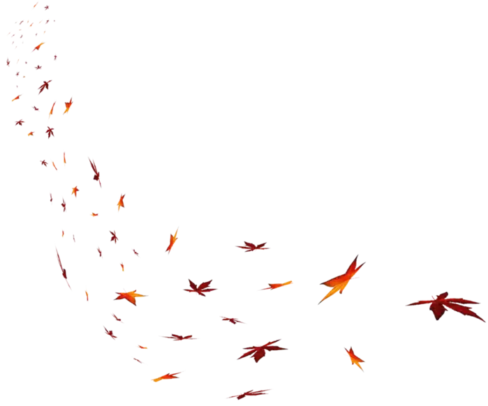Fall Leaves in Motion Graphic