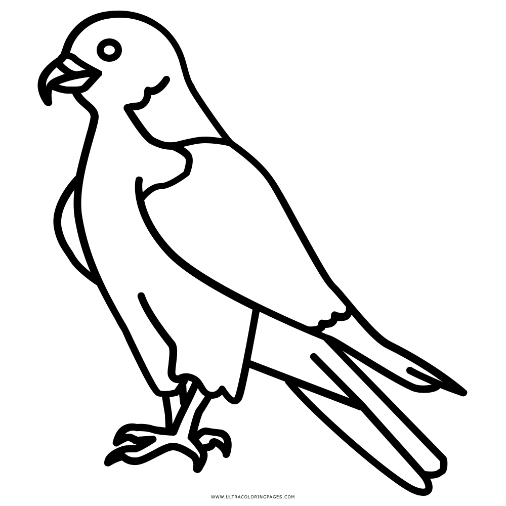 Simple Outline Drawing of a Bird