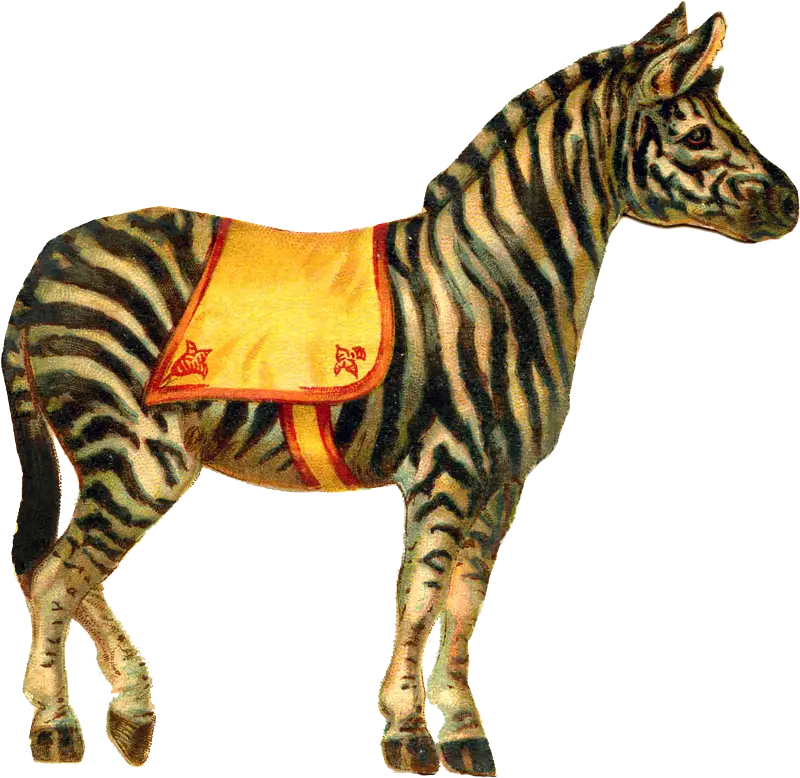 Illustrated Zebra with Saddle