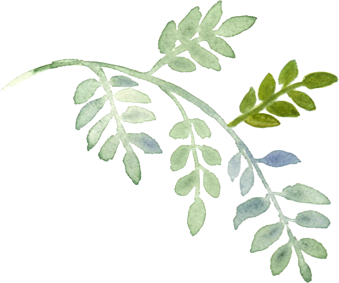 Green Leaf Branch