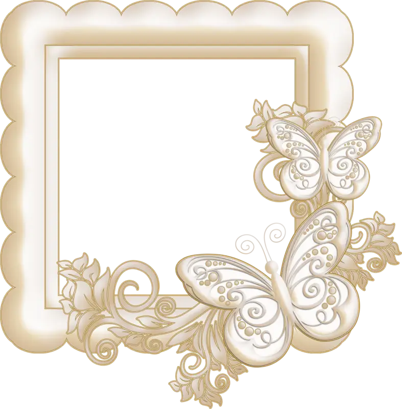 Elegant Decorative Butterfly Frame Design