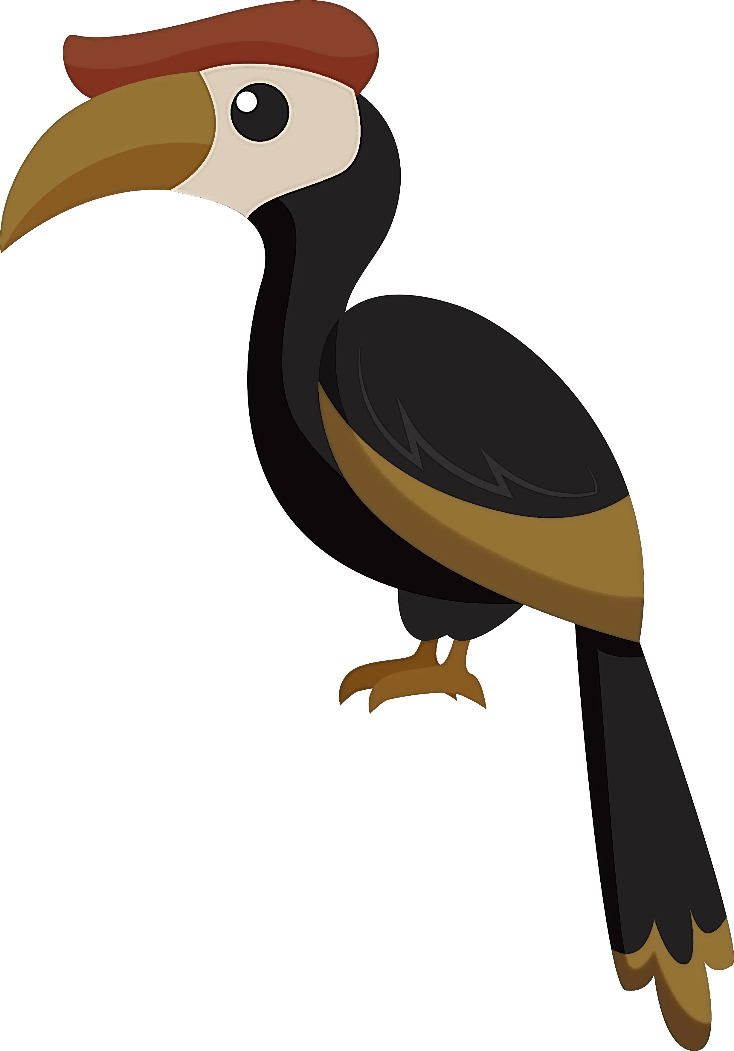Cartoon Style Hornbill Illustration