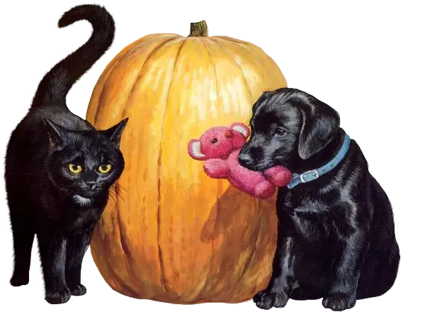 Cat and Dog with Pumpkin for Halloween