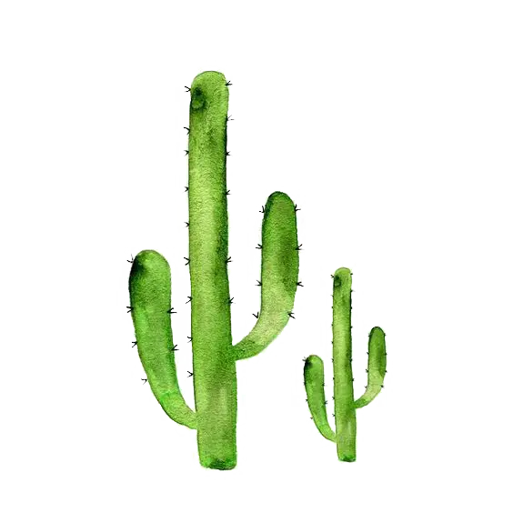 Watercolor Green Cactus