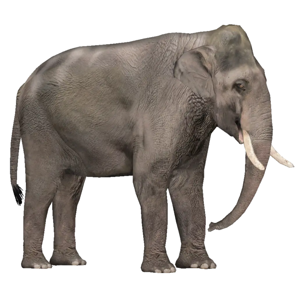 Large Elephant in Realistic Style