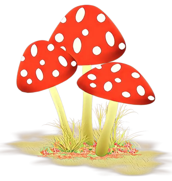 Red Polka Dot Mushrooms illustration