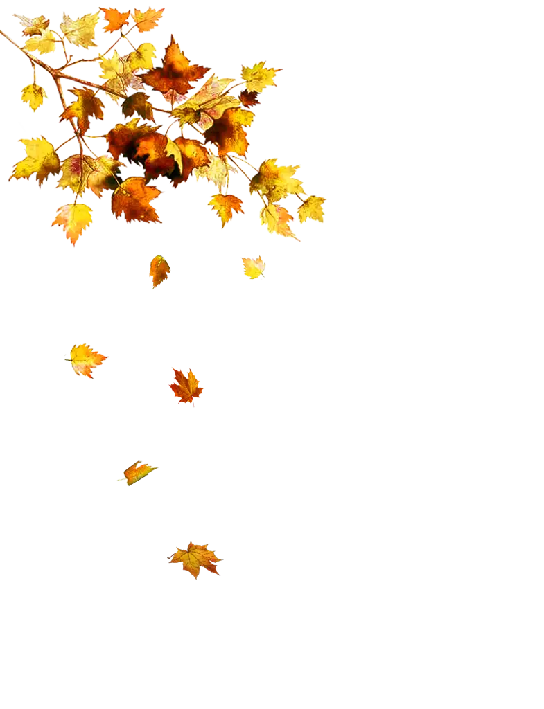 Falling Autumn Leaves and Branch