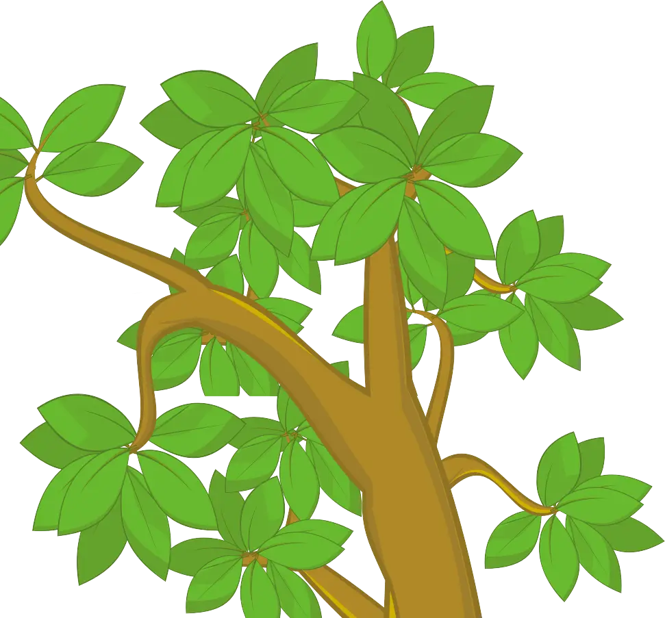 Tree Branch with Green Leaves