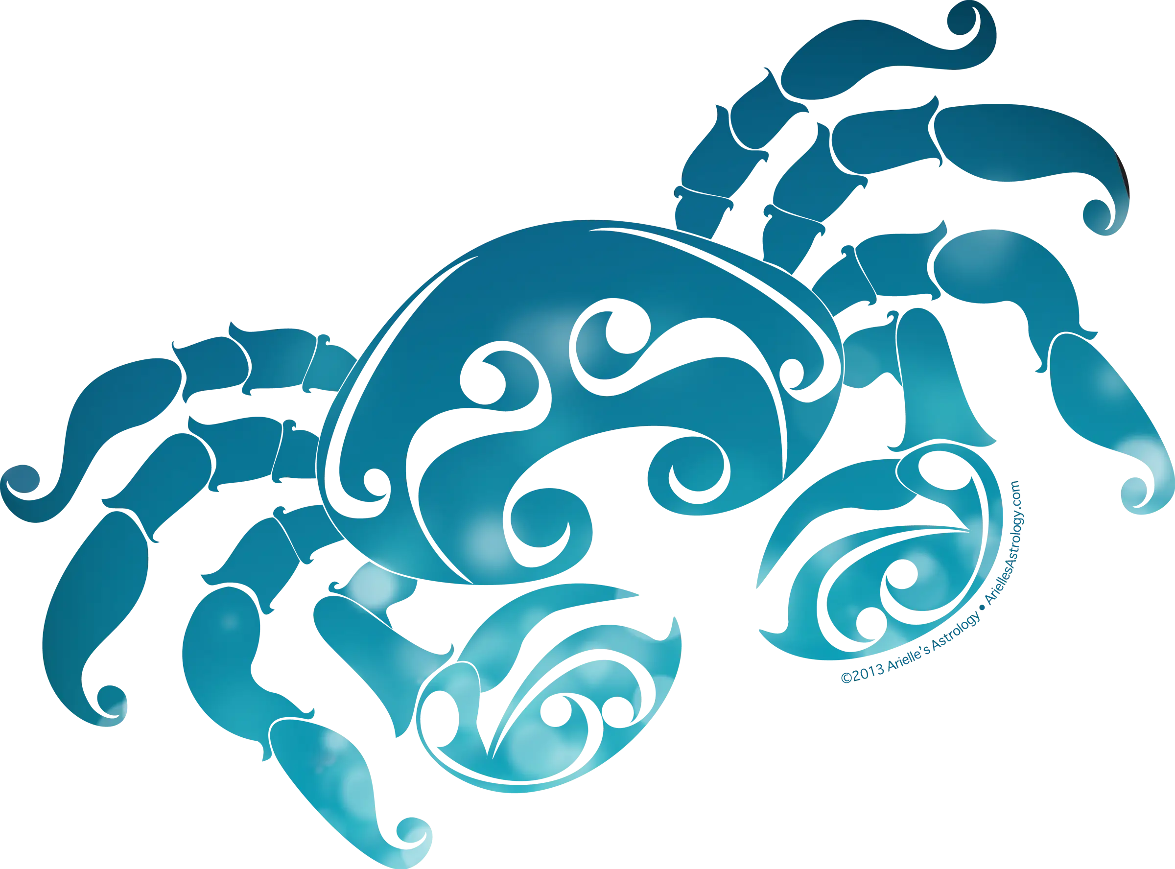 Blue Crab Illustration