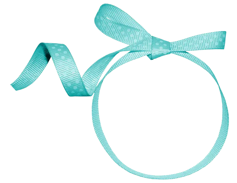 Elegant Blue Ribbon Bow Decoration