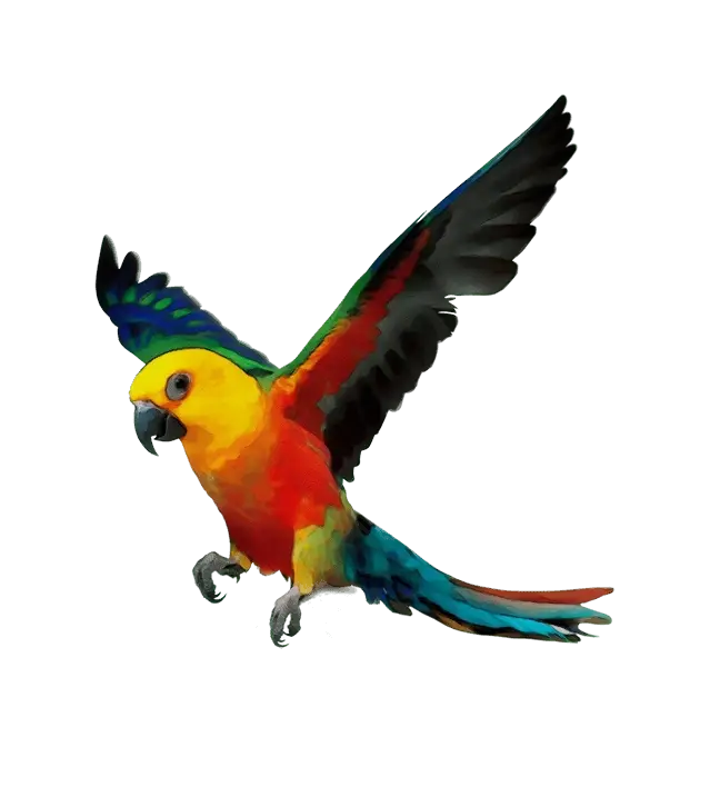Flying Colorful Parrot Illustration