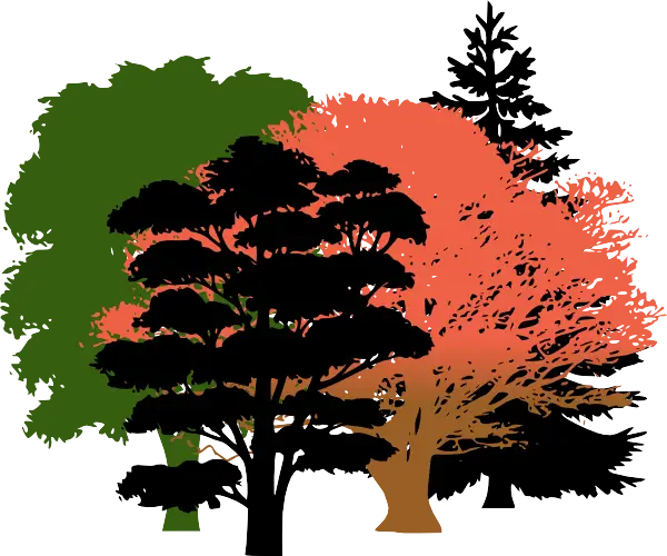 Autumn and Green Trees Seasonal Illustration