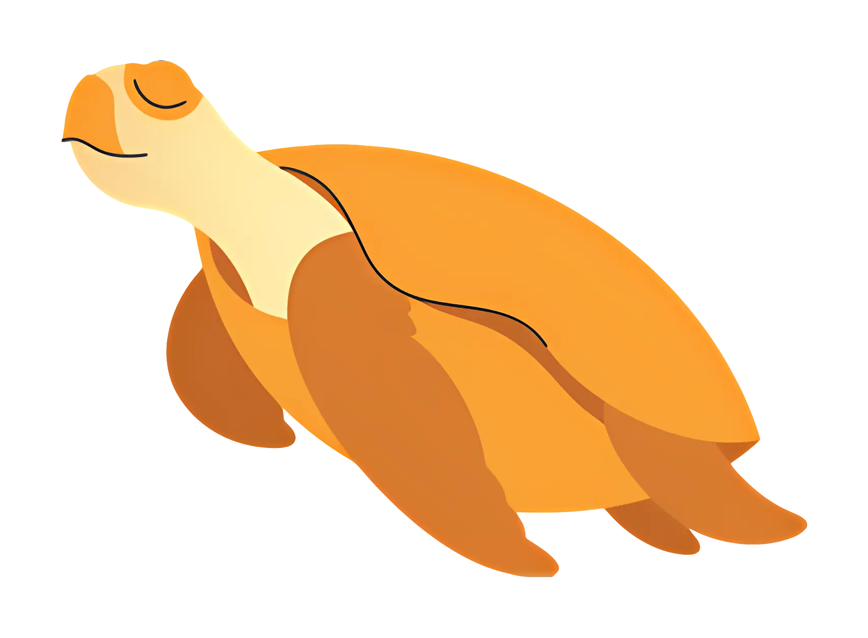 Orange Turtle Illustration