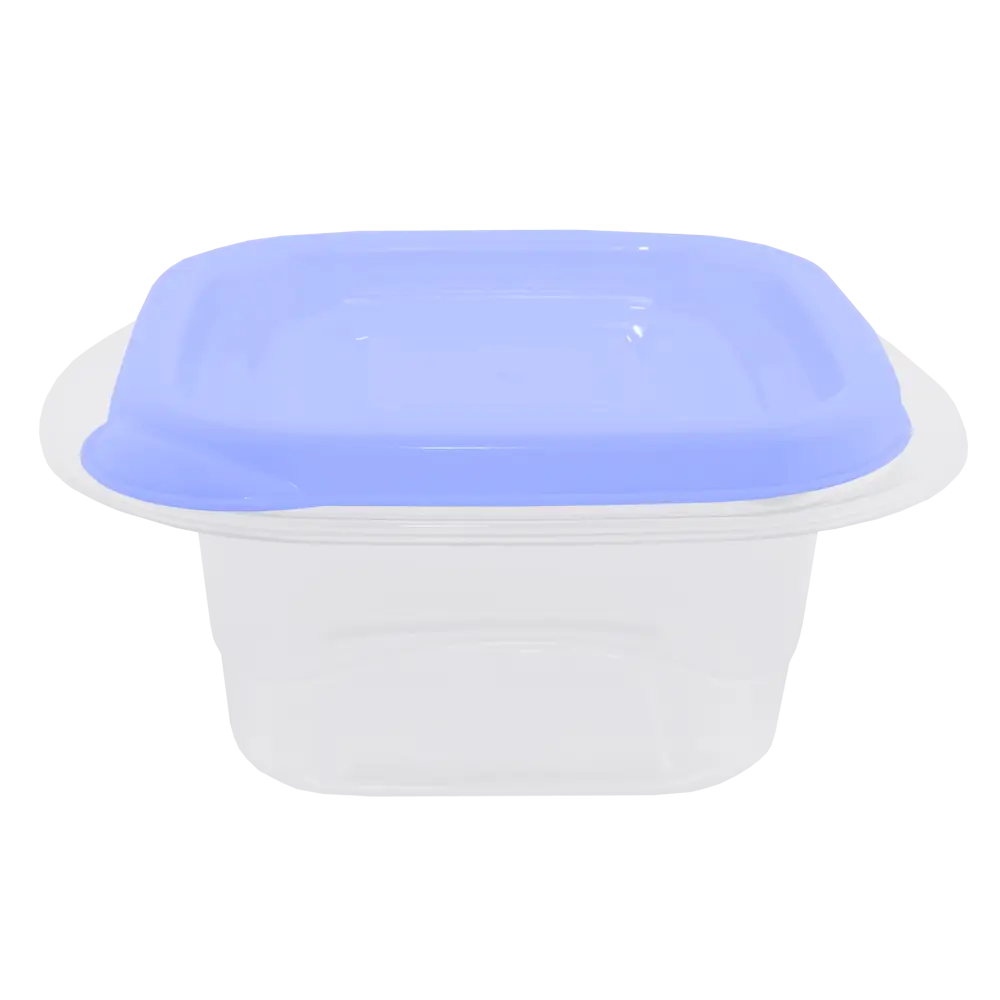 Clear Plastic Food Container with Blue Lid