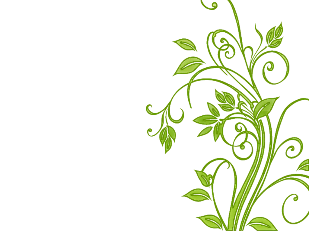 Green Vines Illustration