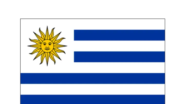 Uruguay National Flag Illustration