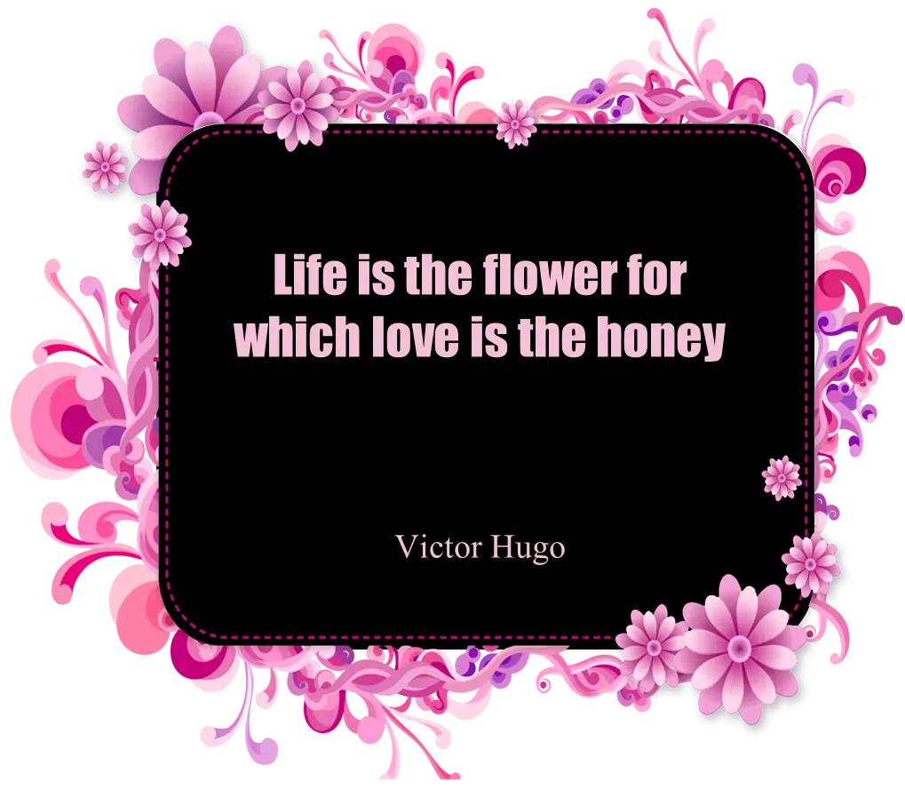 Life Love Quote