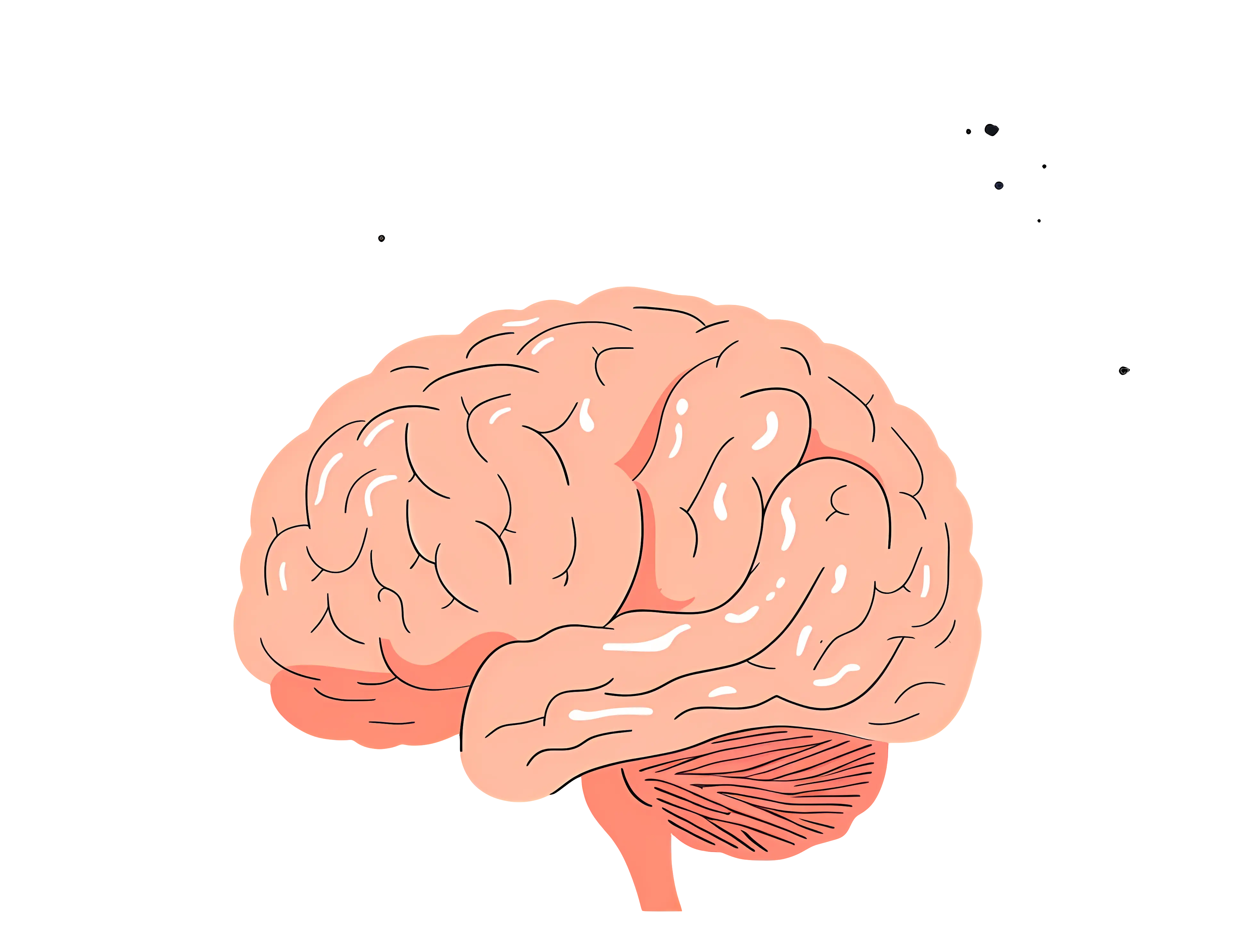 Brain Cartoon Illustration for Education Concept