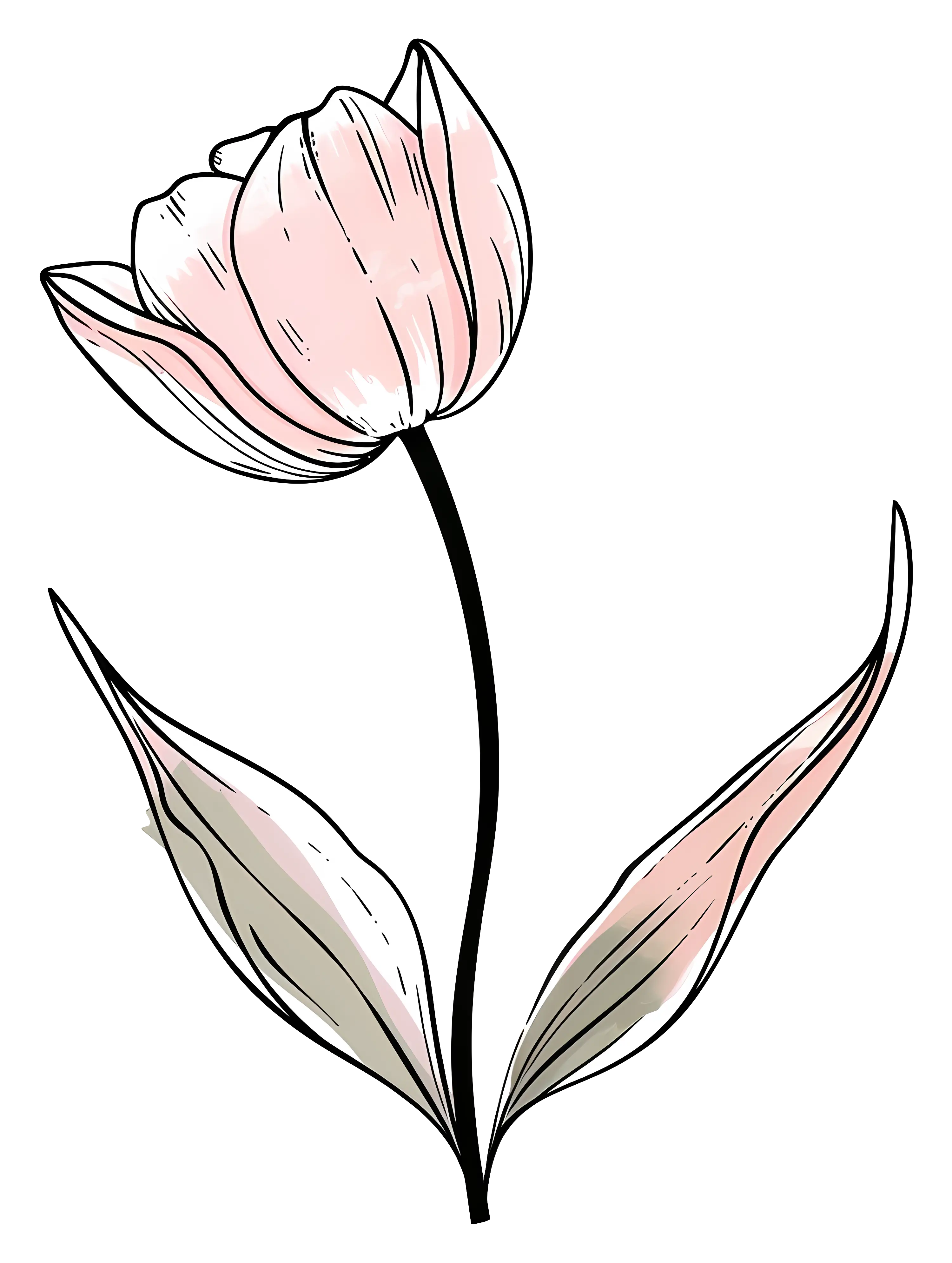 Delicate Pink Flower with Stem and Leaves