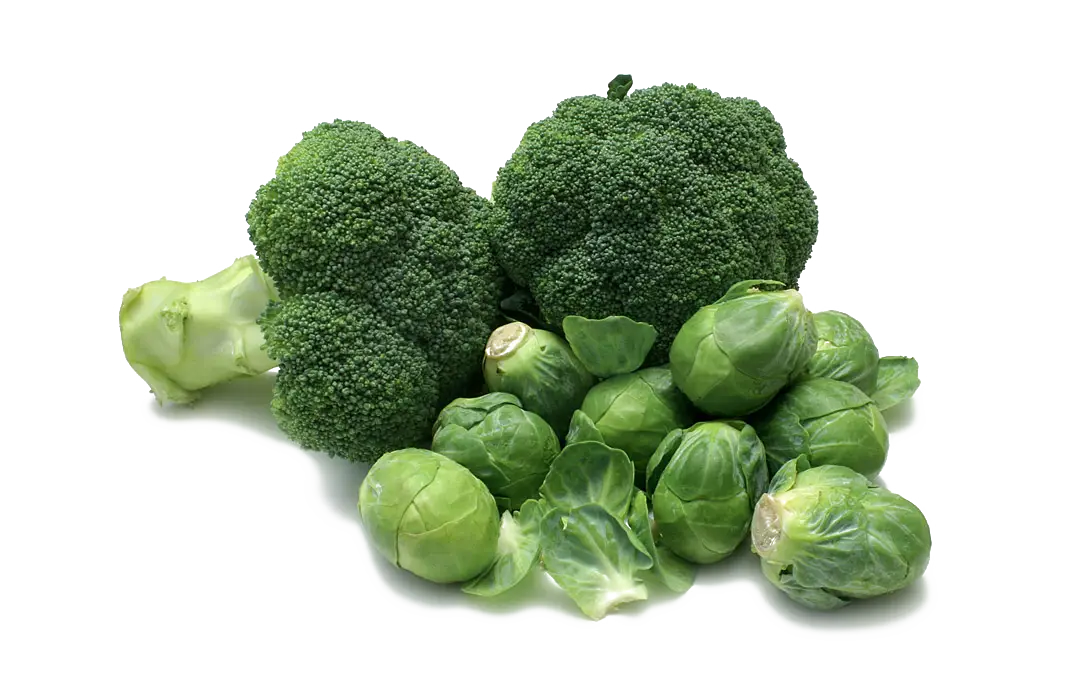 Broccoli and Brussels Sprouts Arrangement